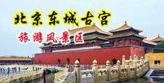 骚逼快来操视频中国北京-东城古宫旅游风景区